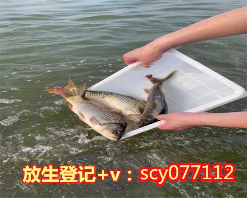 放生鱼的说说黑龙江,黑龙江公园可以放生乌龟吗【黑龙江哪里适合放生鱼】