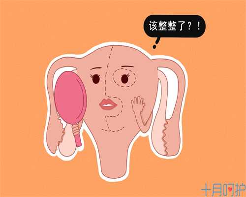 广东做代孕流程，广东进入登革热流行期