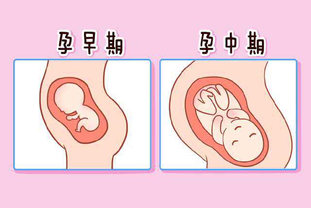上海有供卵试管婴儿,供卵试管婴儿技高上海坤和